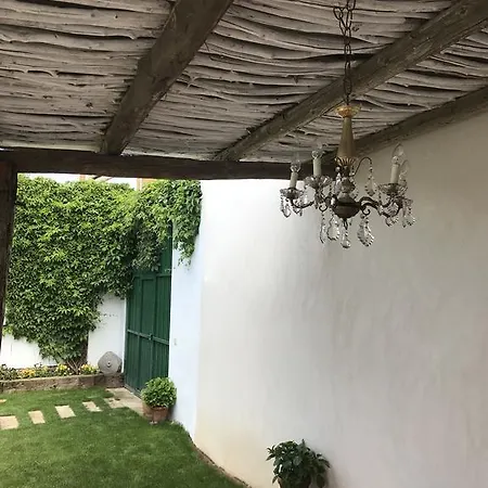 La Malasanha Coca